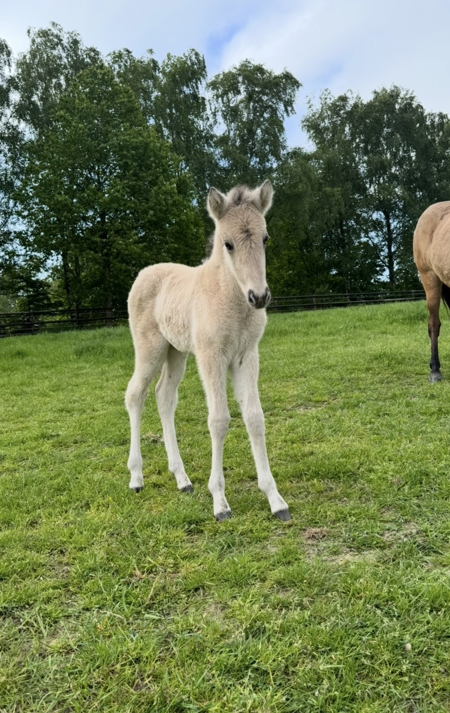 Screenshot Screenshot