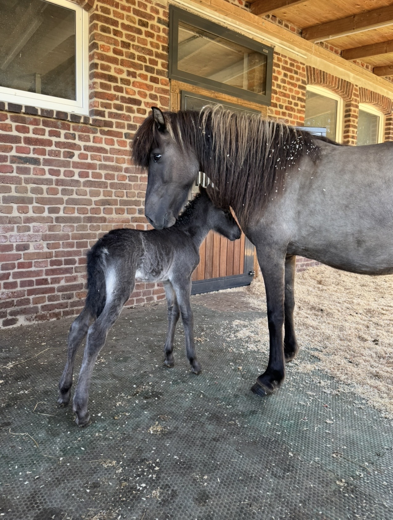 Screenshot Screenshot