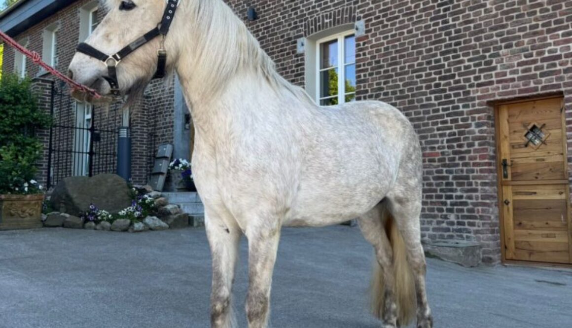 PHOTO-2025-05-14-18-13-46