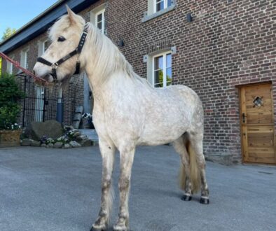 PHOTO-2025-05-14-18-13-46