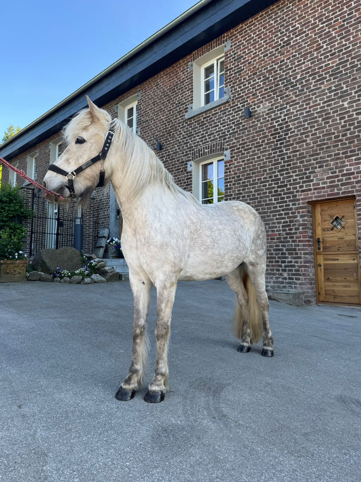 PHOTO-2025-05-14-18-13-46