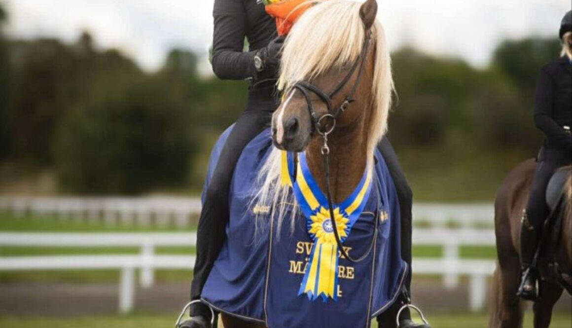 att.y8rLVxSPfPPnARbKLvHwSP50UJOpDR7_1MdBVBshEfQ